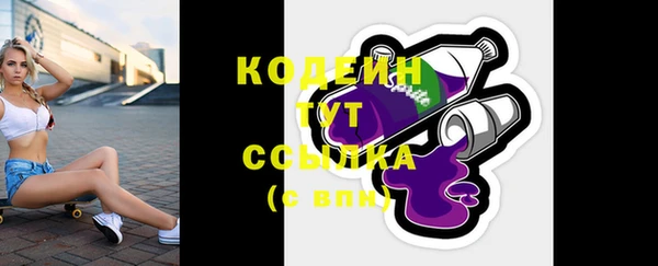 прущий лед Заводоуковск