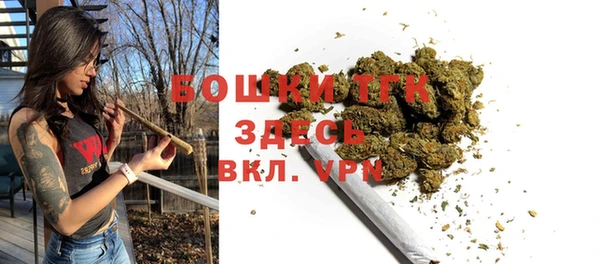 прущий лед Заводоуковск