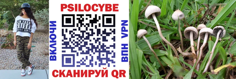Псилоцибиновые грибы мухоморы  Купить где  Медногорск 